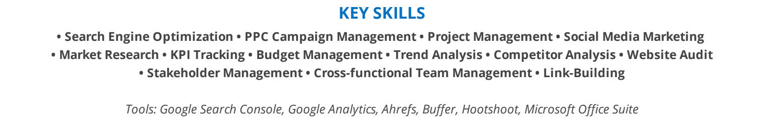 SEO-resume-key-skills