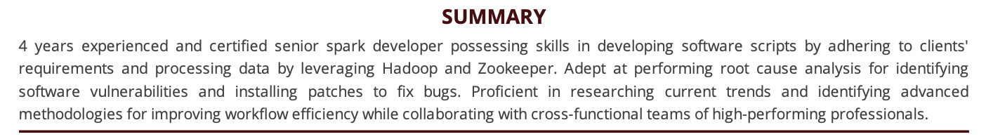 Spark-Developer-Resume-Summary