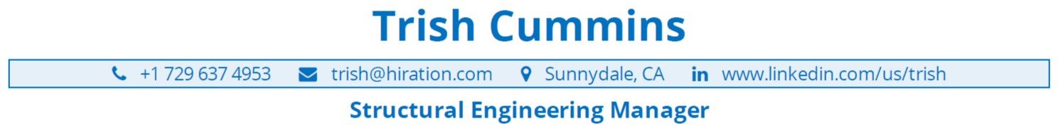 engineering-manager-resume-profile-title