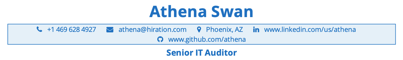it-auditor-resume-profile-title