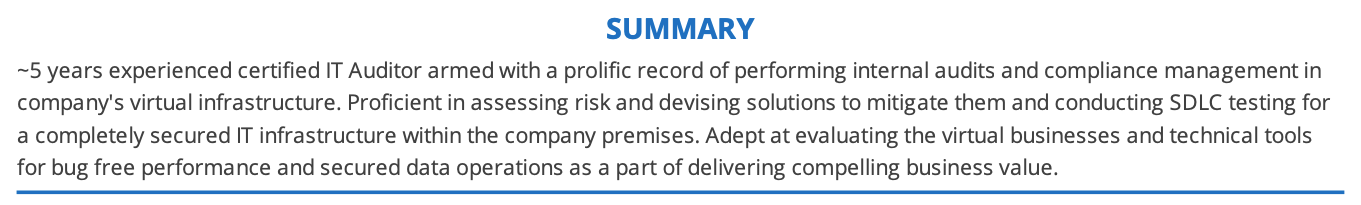 it-auditor-resume-summary