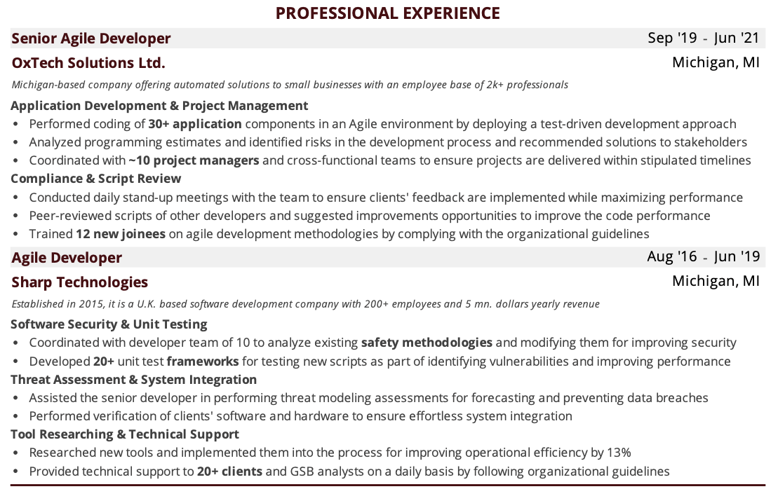 senior-agile-developer-resume-professional-experience