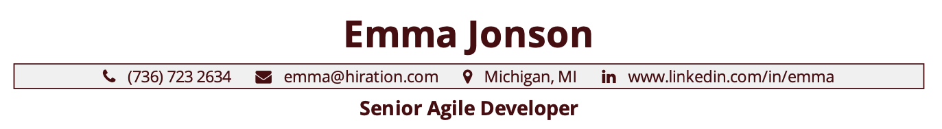 senior-agile-developer-resume-profile-title