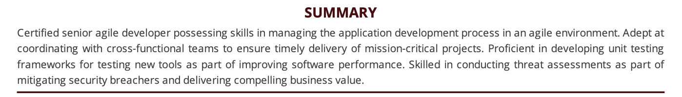 senior-agile-developer-resume-summary