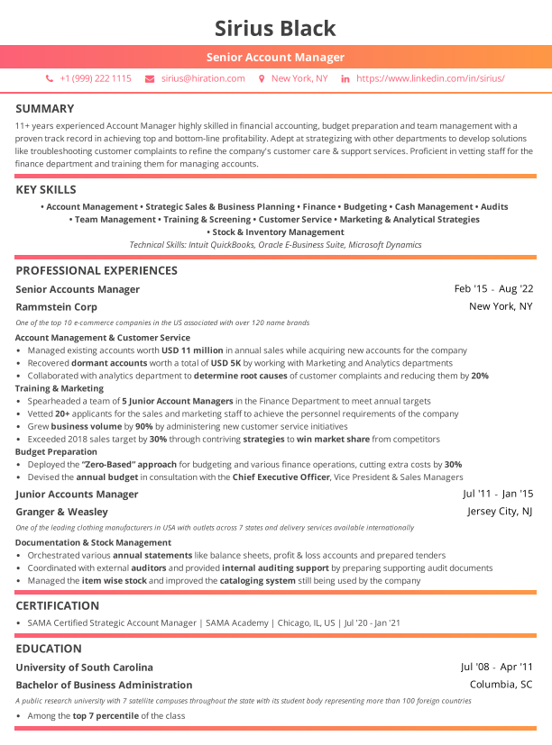 accountant-resume-format