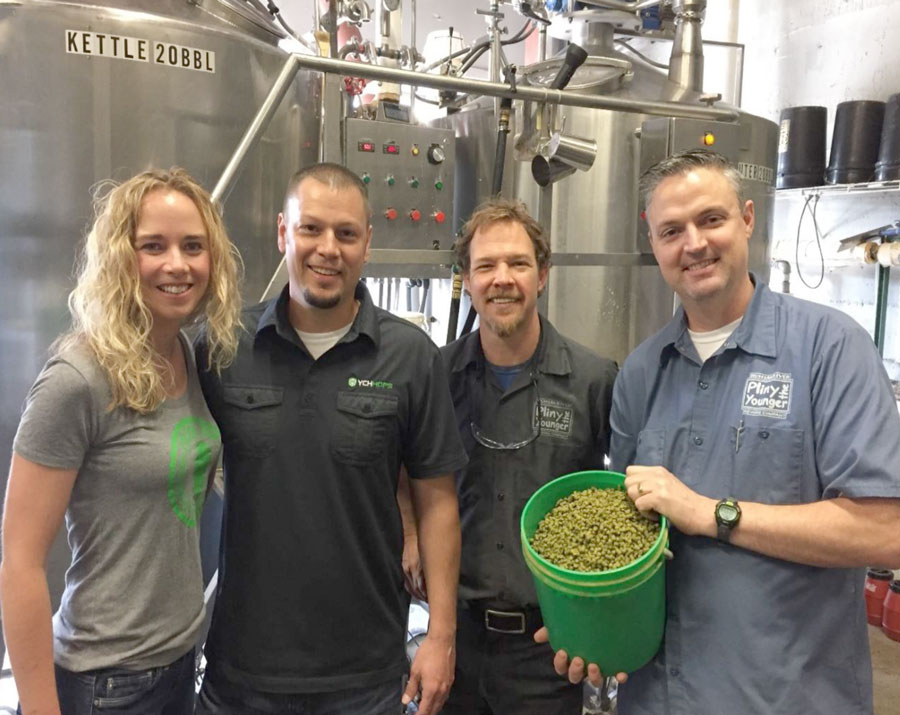 Vinny Cilurzo Hops homebrewing