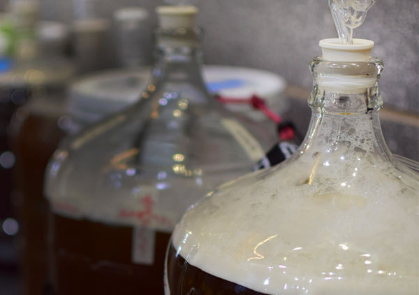beer fermentation