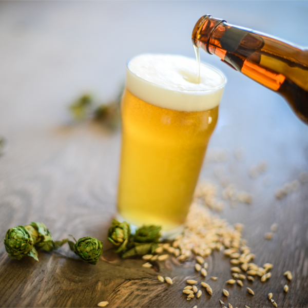 Bohemian pils homebrew recipe