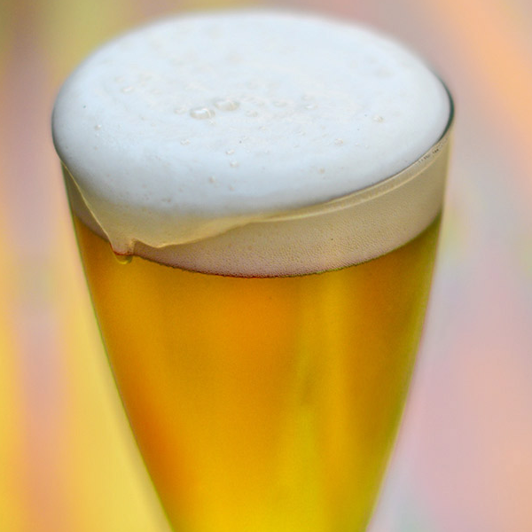 lager homebrew recipe
