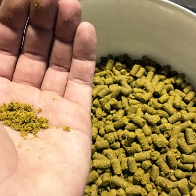 Lupulin Powder and Hop Oil Experimentation
