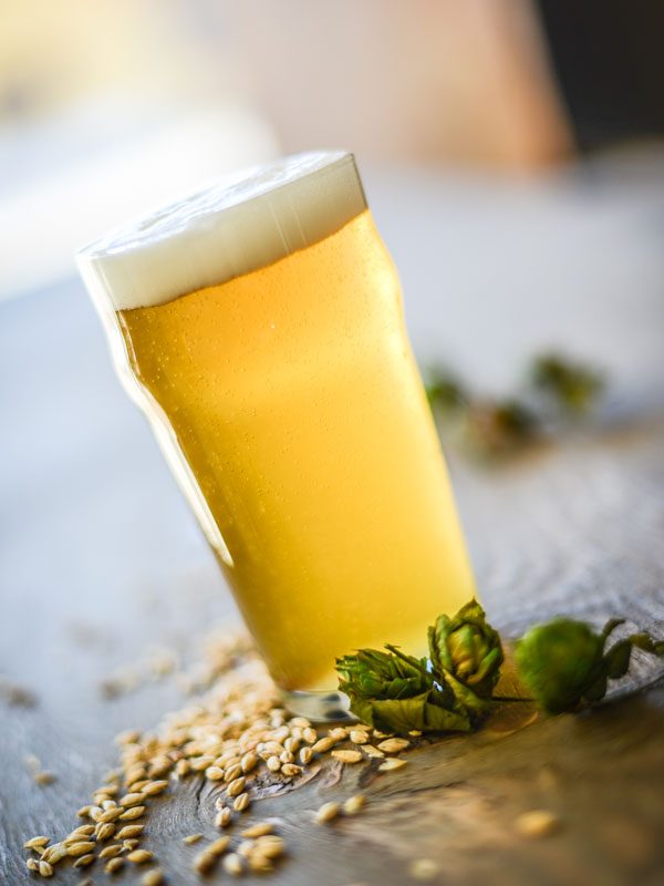 Munich Helles Lager