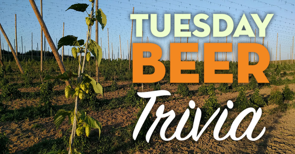 Tuesday Beer Trivia British Hops American Homebrewers Association