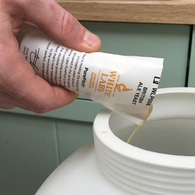 homebrew yeast
