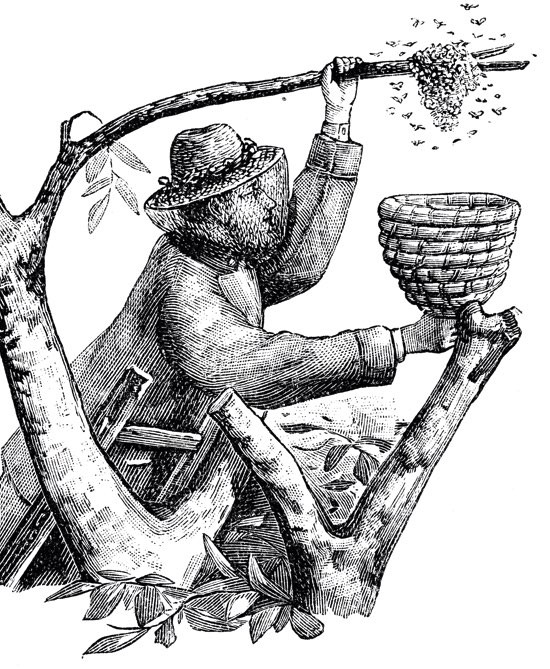 History of Mead