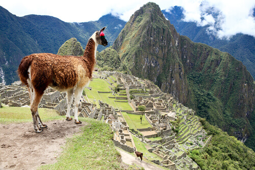 Private Machu Picchu Tour