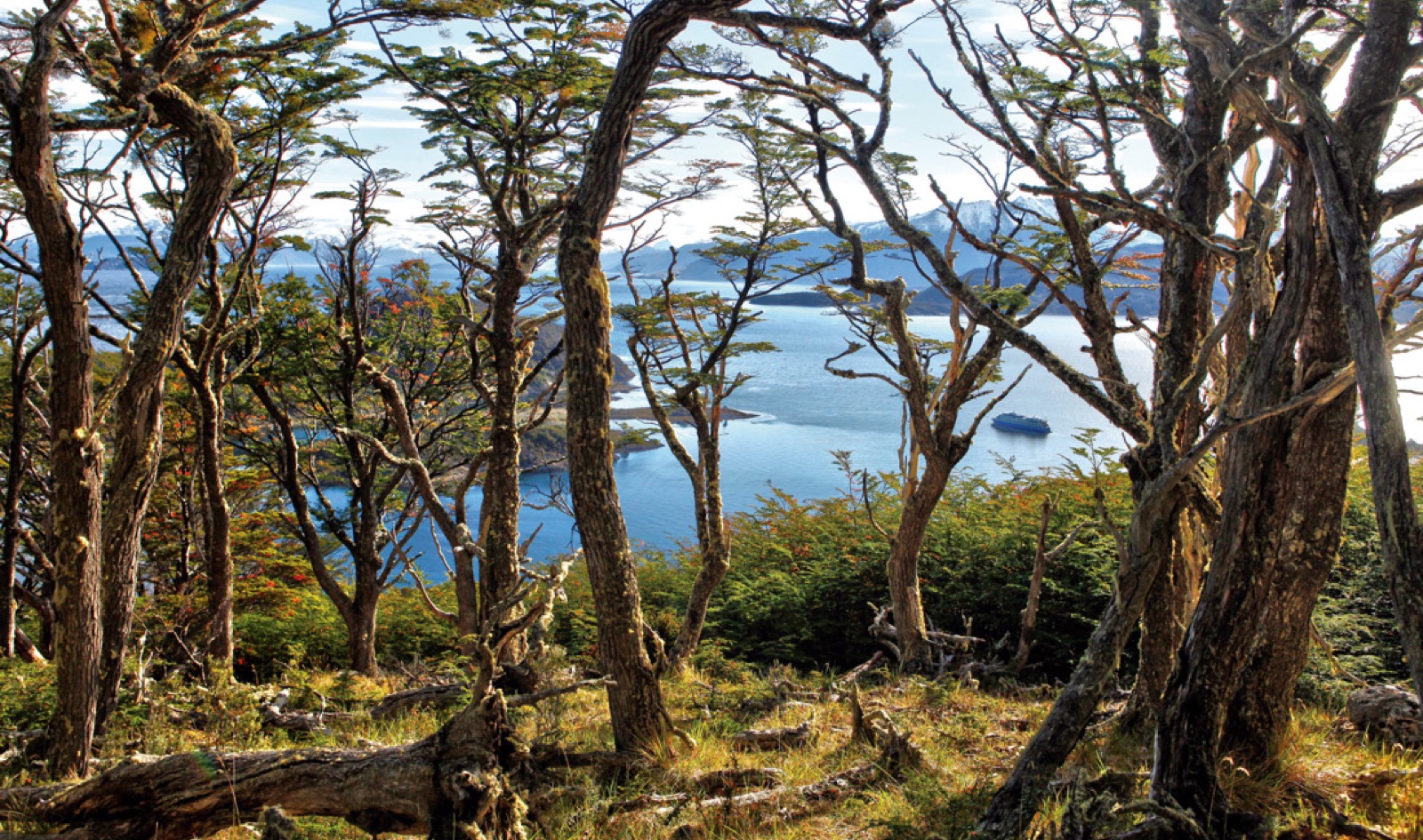 Ainsworth Bay - Tuckers Islets