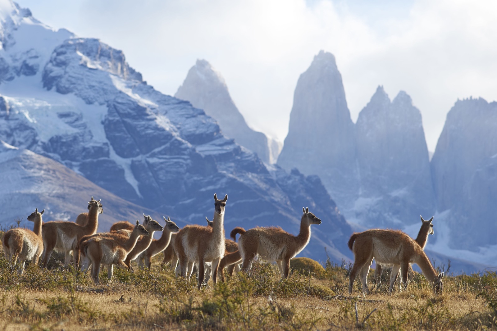 Santiago – Torres del Paine