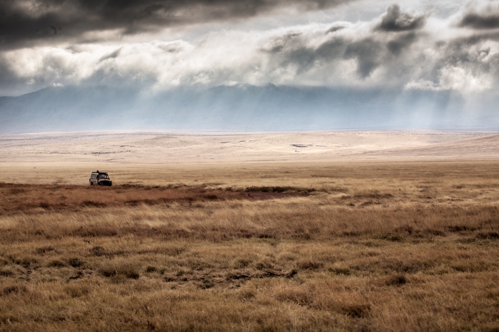 Ngorongoro Crater