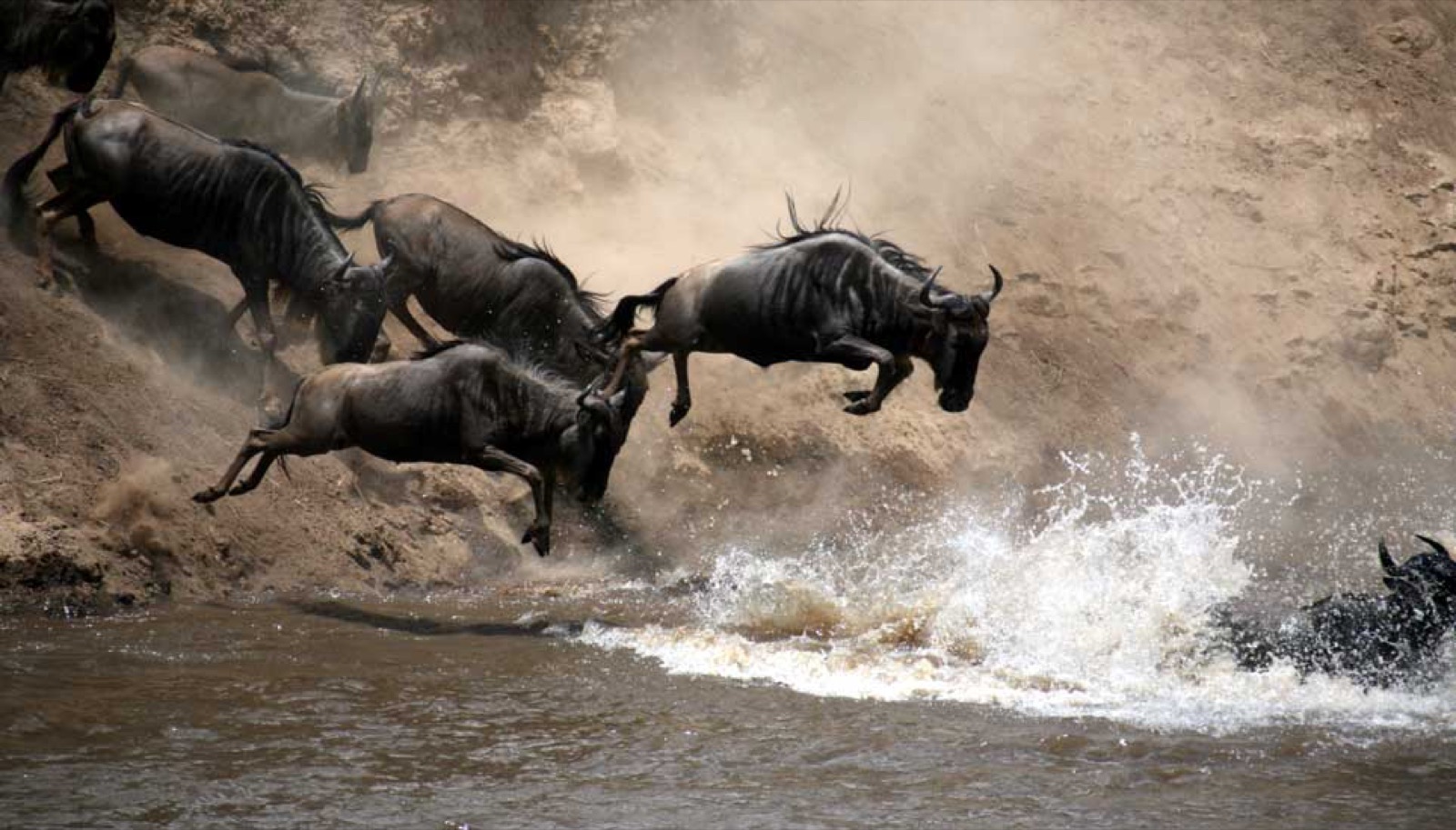 Serengeti
