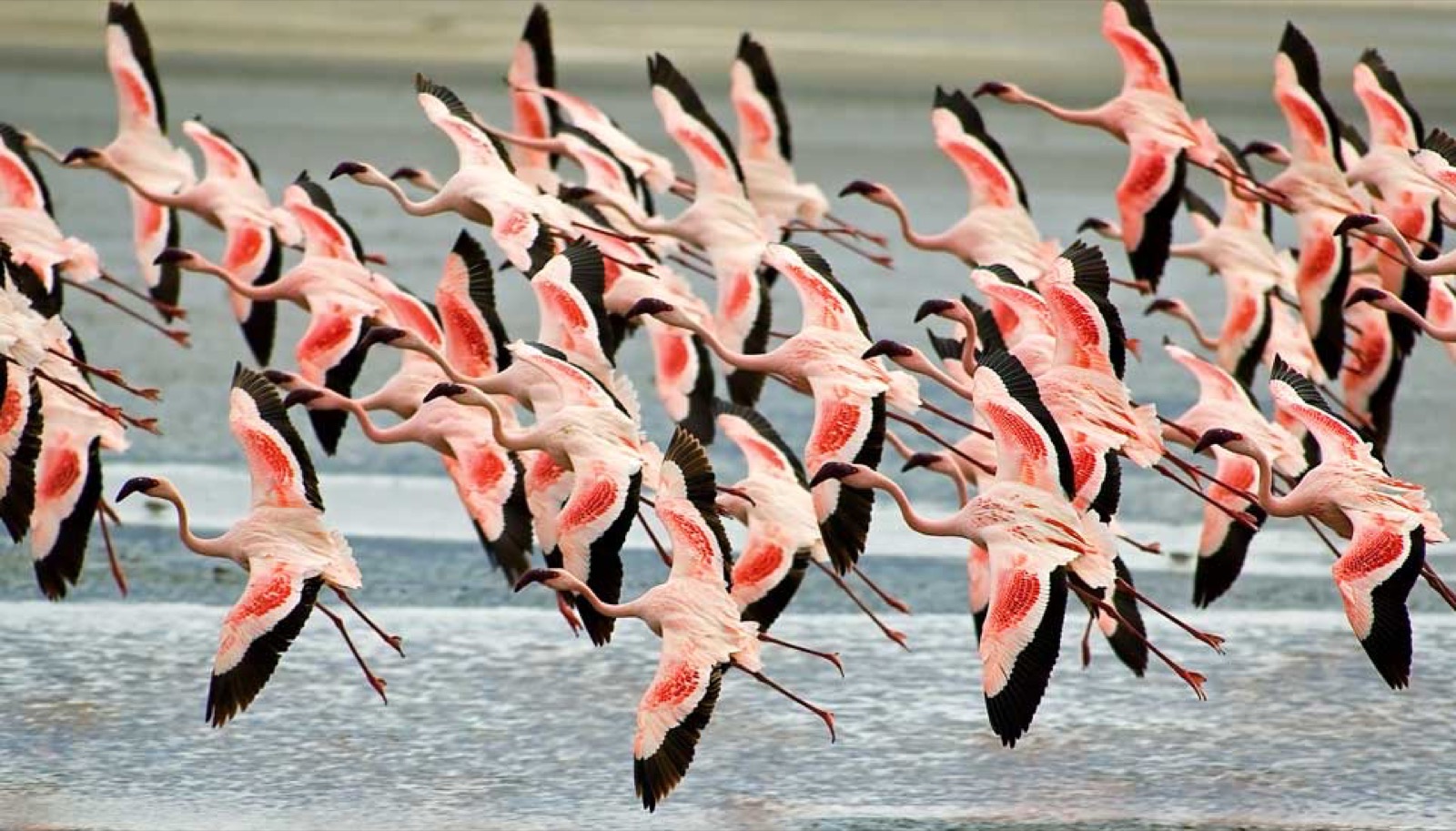 Ngorongoro Crater Tour & Southern Serengeti