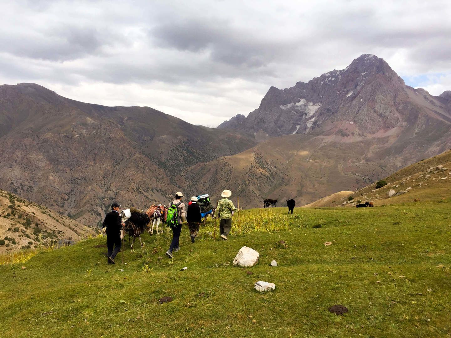 Tovasang Pass - Hazorchashma (trekking, 11 km +900/-1000m)