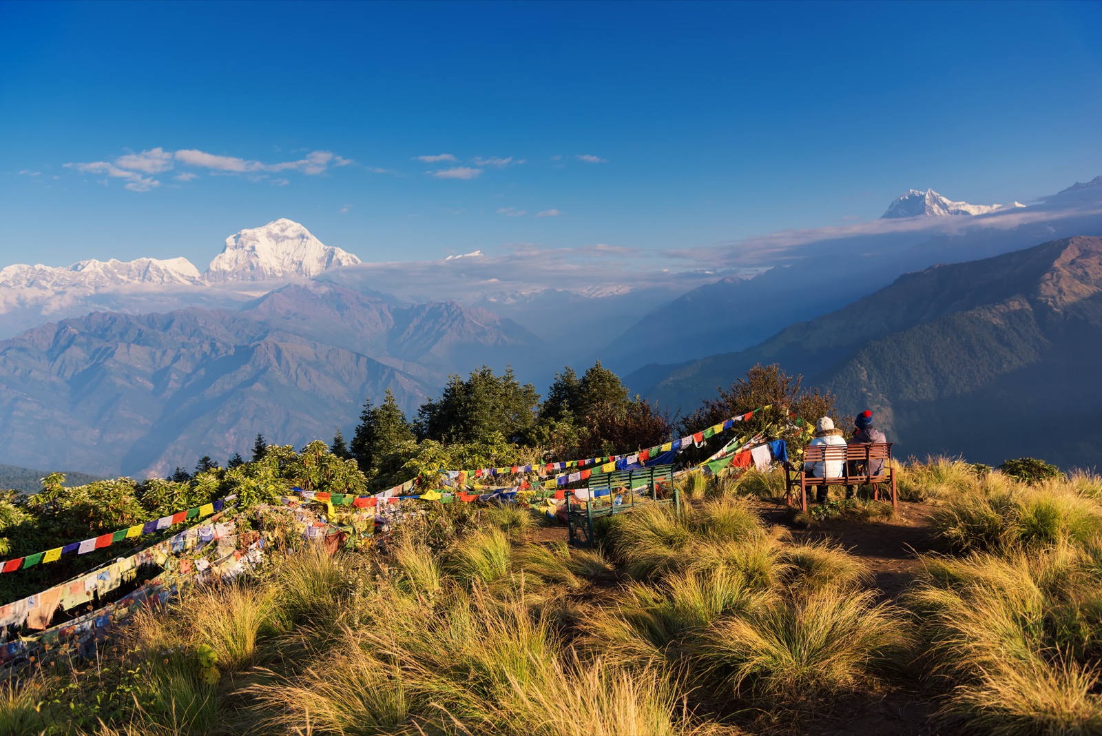 Ghorepani - Tadapani - Poon Hill