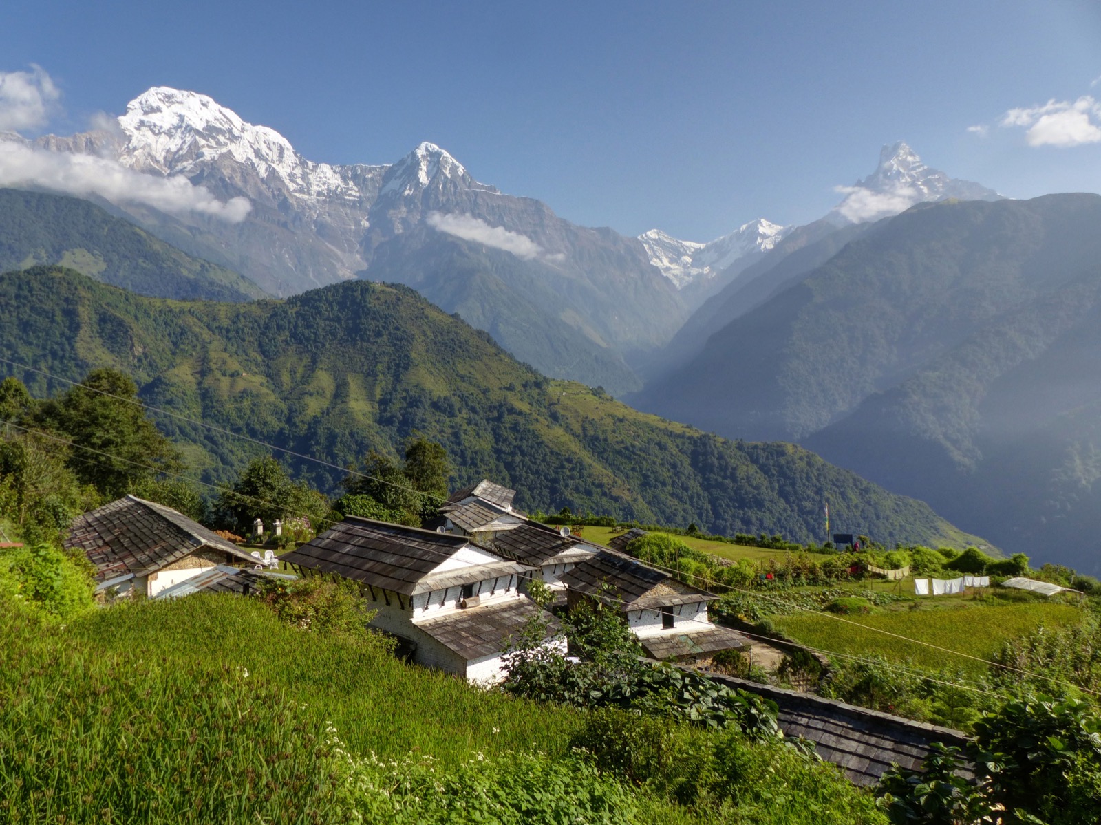 Tadapani - Ghandruk