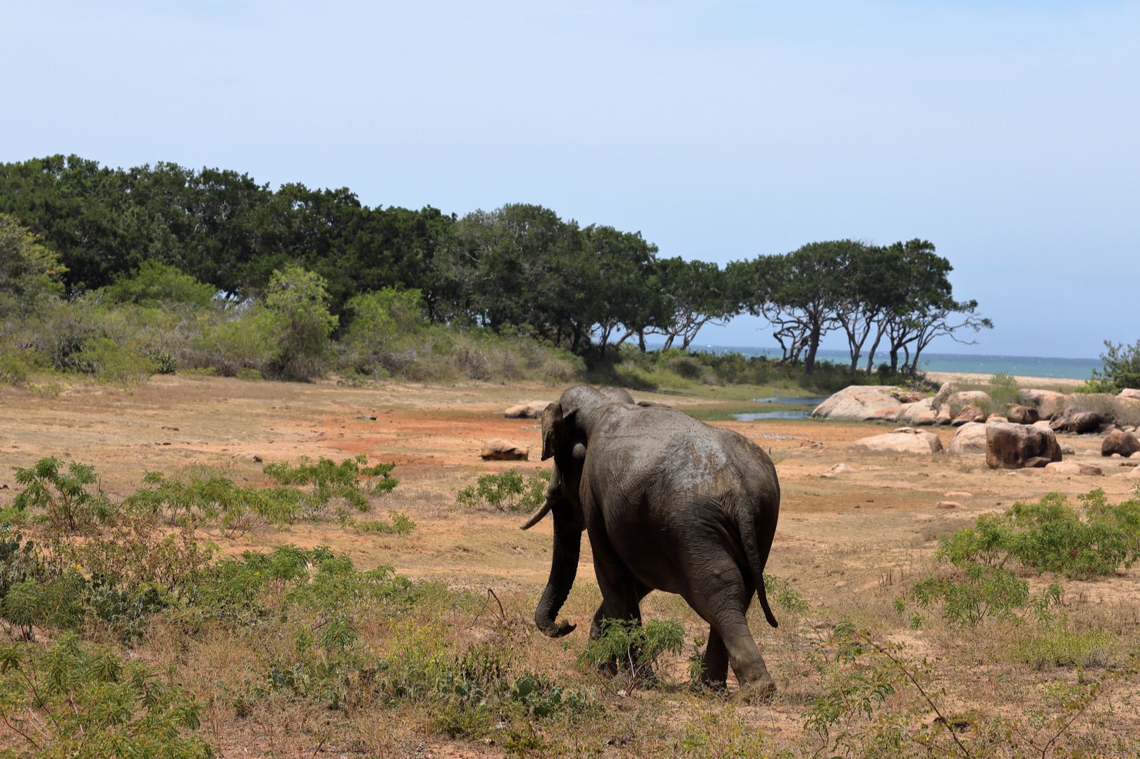 Udawalawe National Park