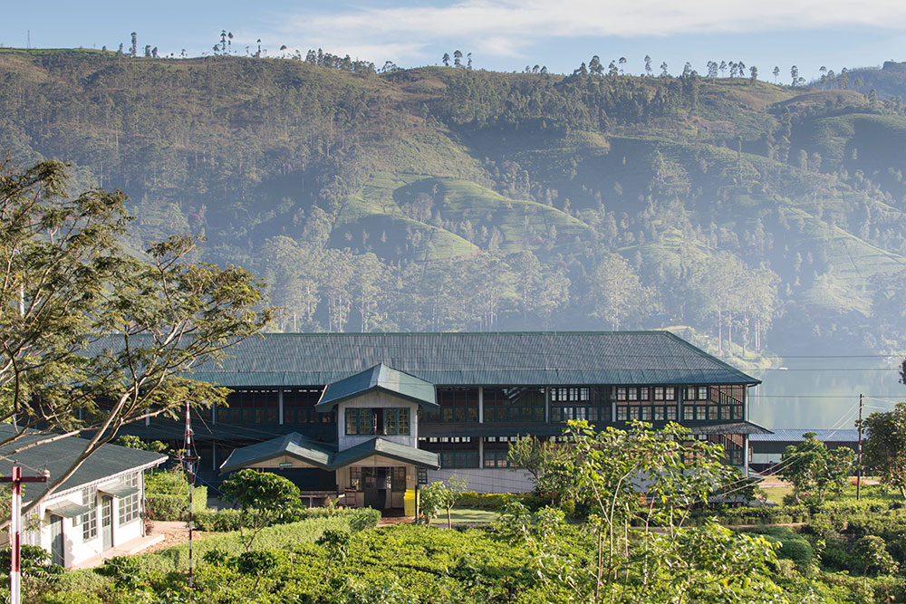 Hotel: Ceylon Tea Trails