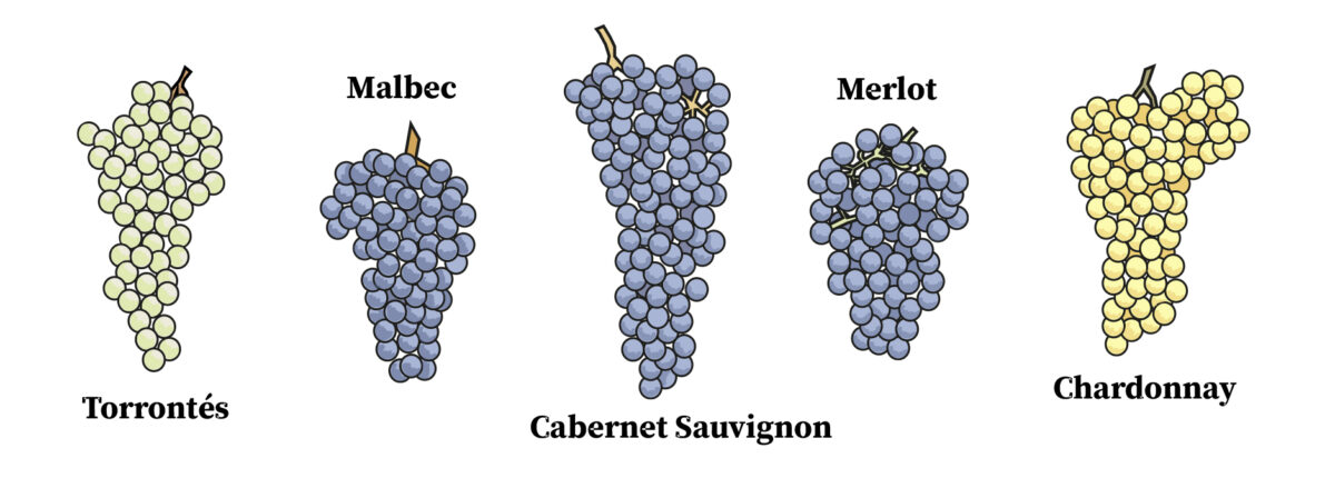 Allgrapeswlabels