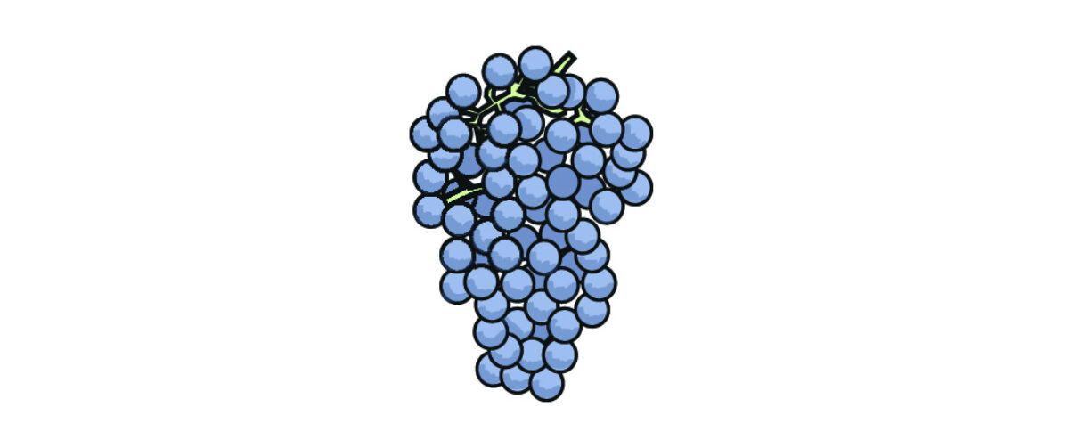 Merlot landscape