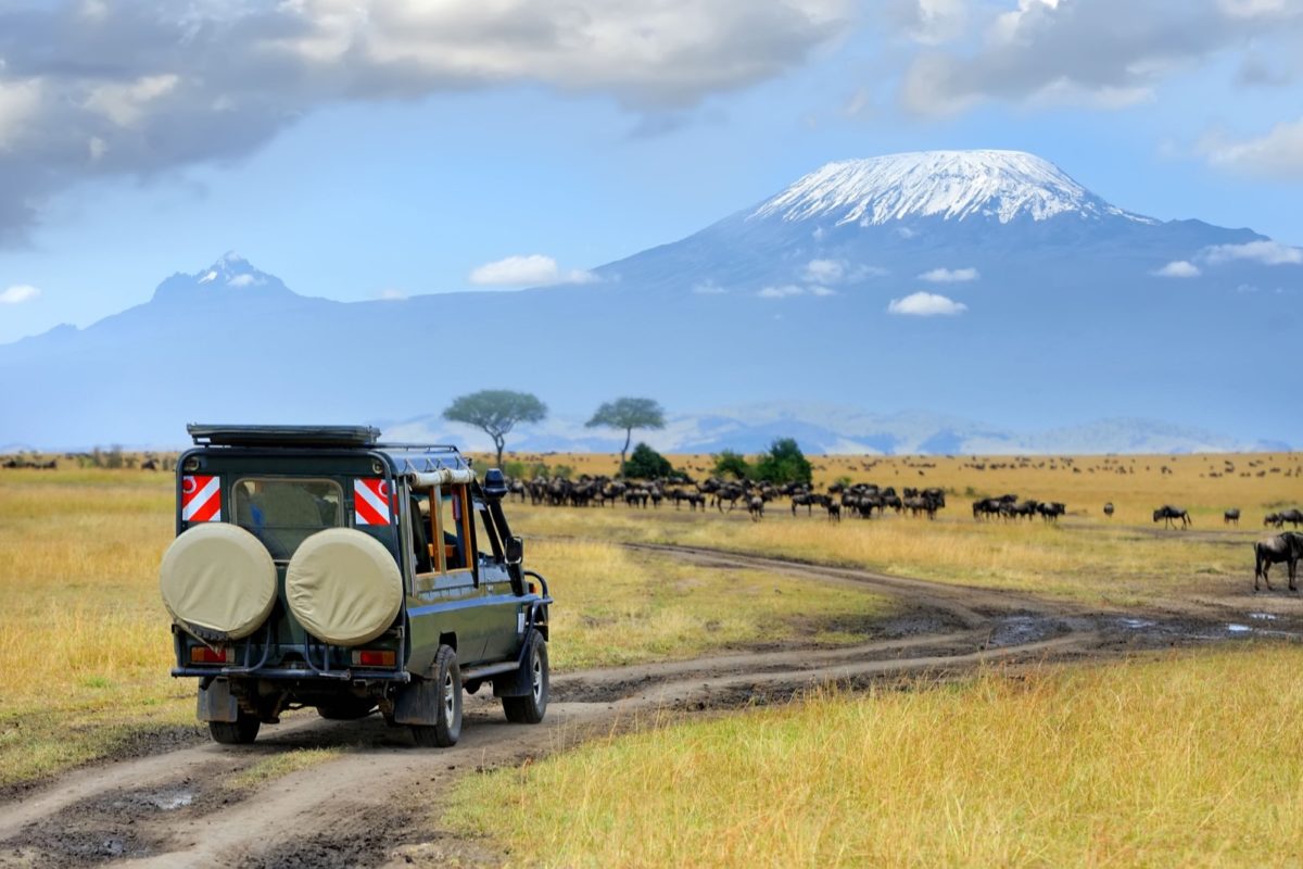 Northern Tanzania Highlights