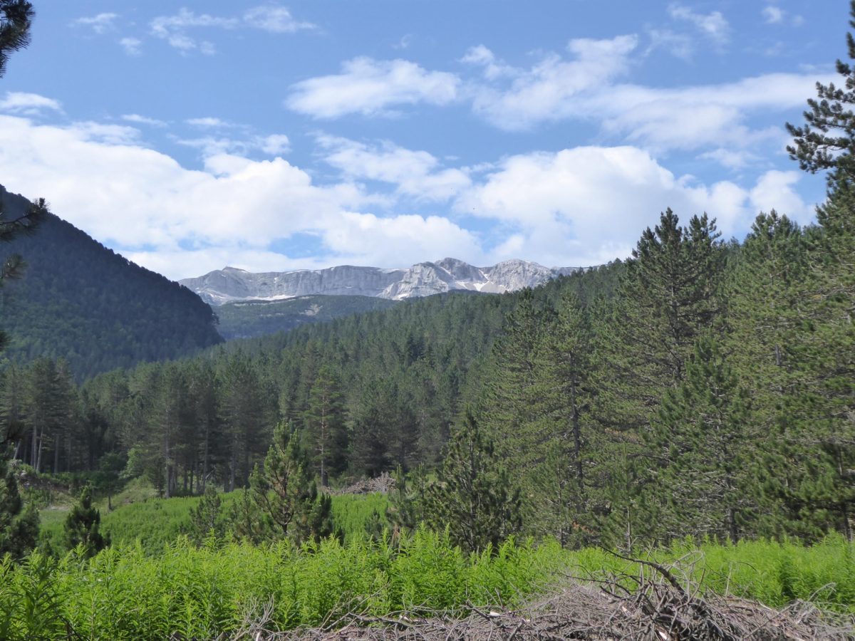 Get adventurous in Blidinje Nature Park