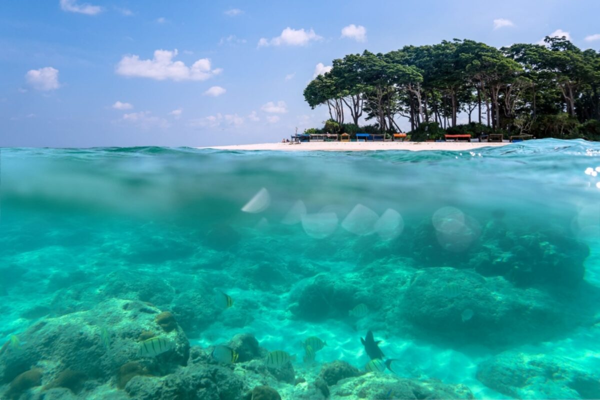 Relax on a desert island