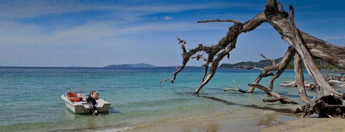 Beach, Islands and Tigers