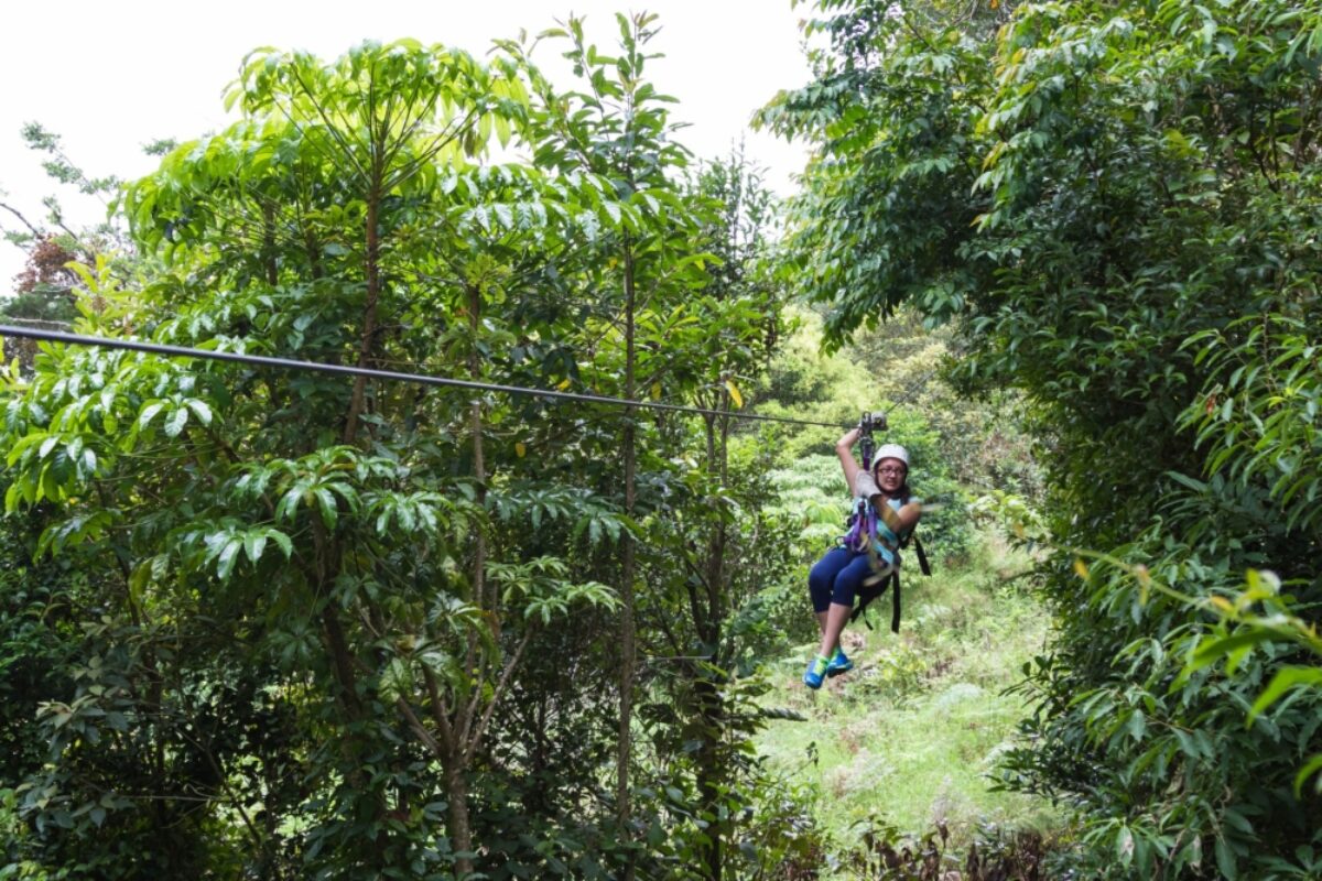 Lose your head in the clouds at Monteverde