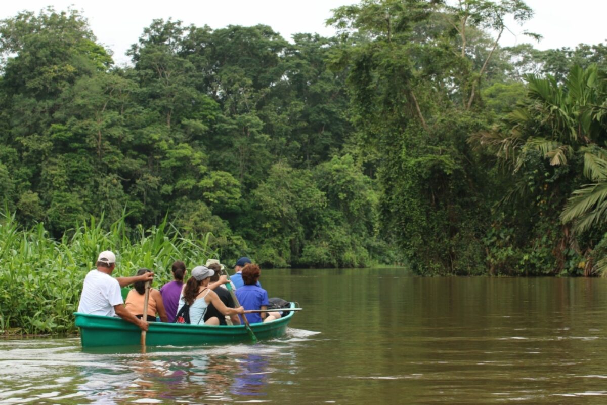 Float down the canals of Tortuguero