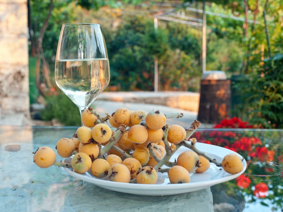 West Balkans wine and food