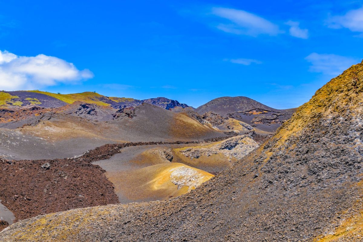 Go volcano climbing on Isla Isabela