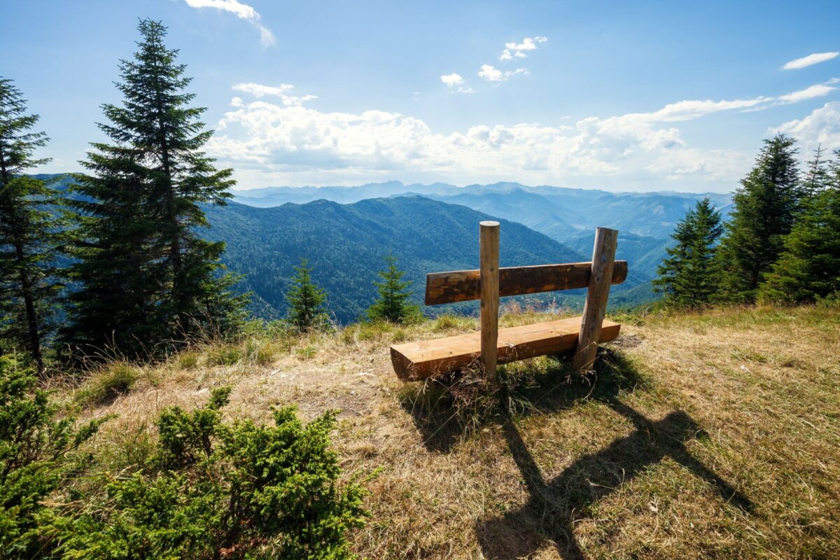 See ancient forests in Biogradska Gora National Park