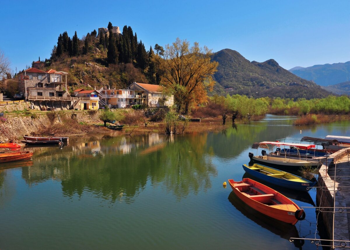 Go honey and wine tasting in Virpazar