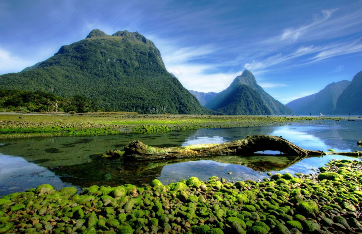 North and South Island
