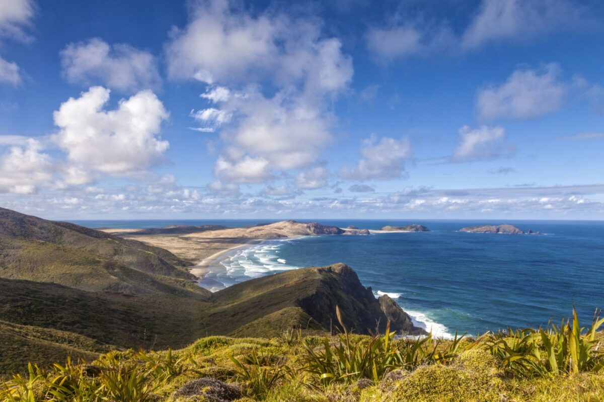 Epic New Zealand