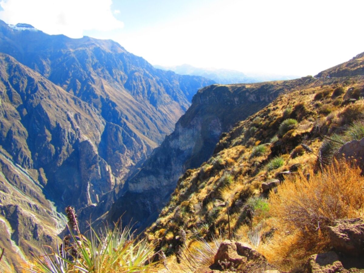Plumb the depths of Colca Canyon