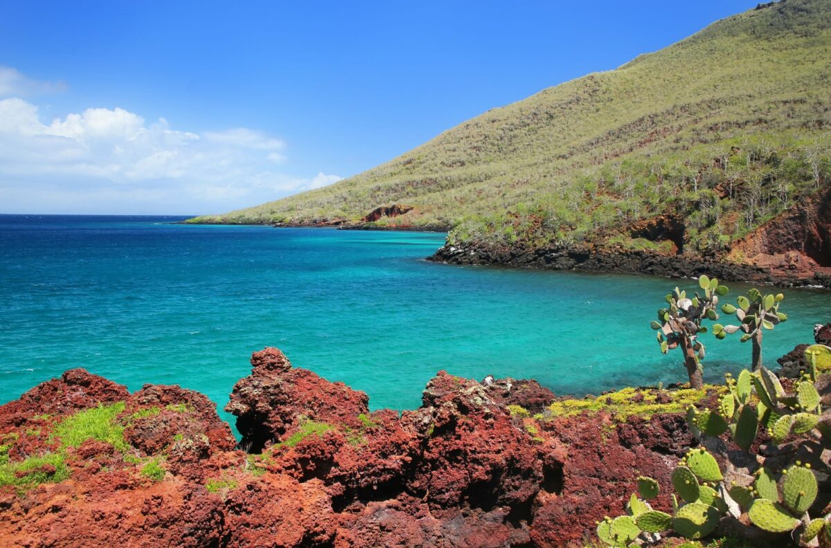 Visit the red soil of Isla Rabida
