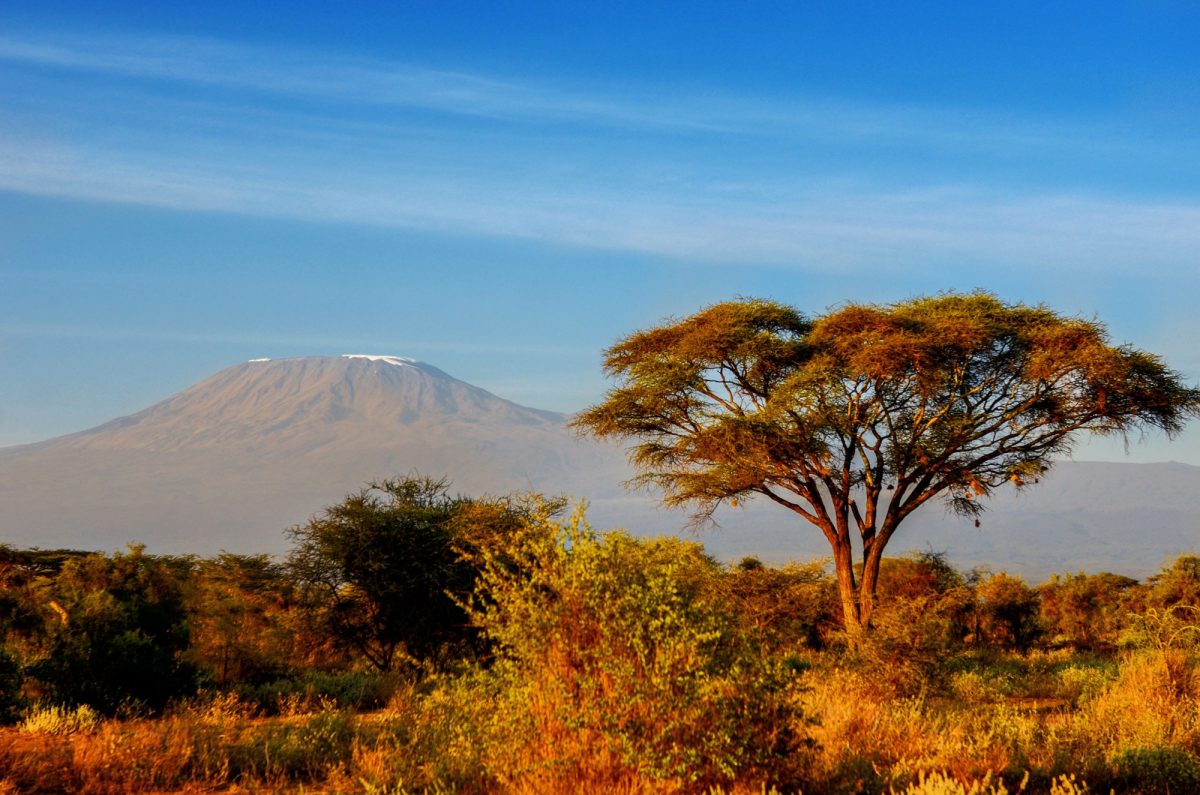 Tanzanian safaris and climbing Kilimanjaro