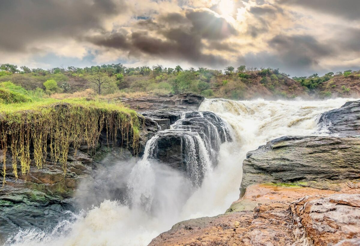 Safari in Murchison Falls National Park