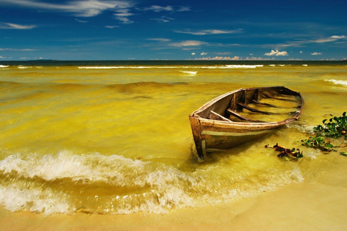 Go birdwatching at Lake Victoria