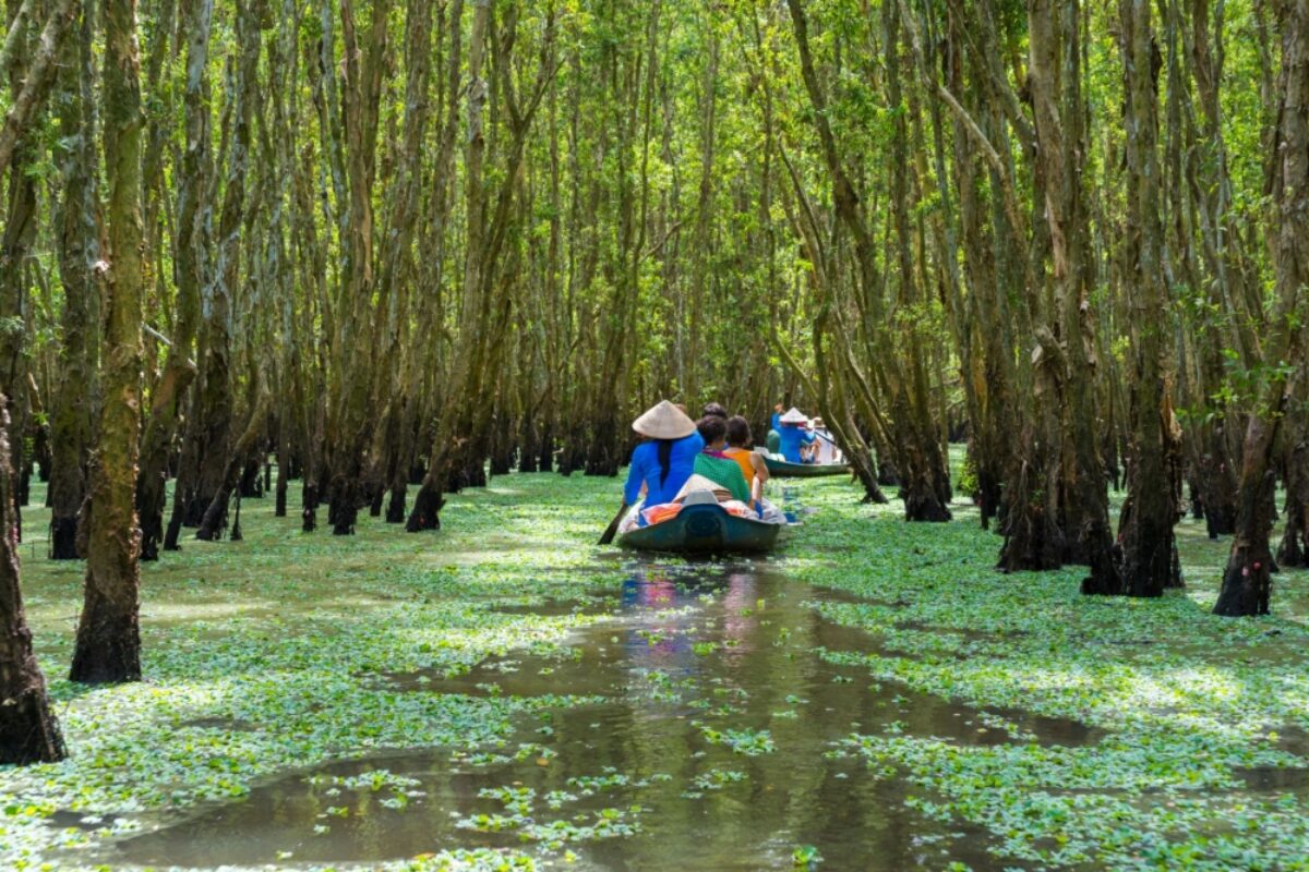 Floating markets and rice paddies in the Mekong Delta