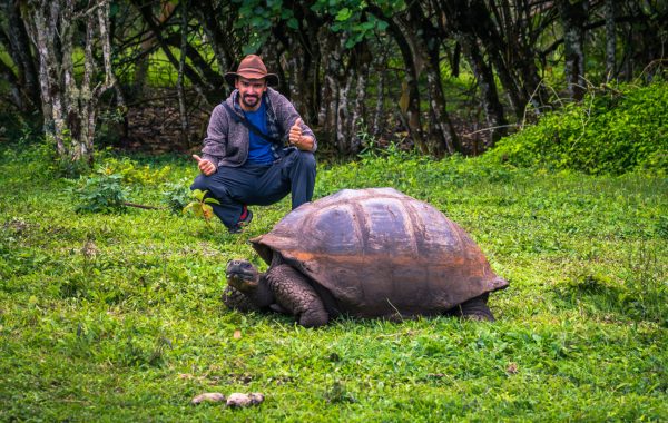 Walk with giant tortoises